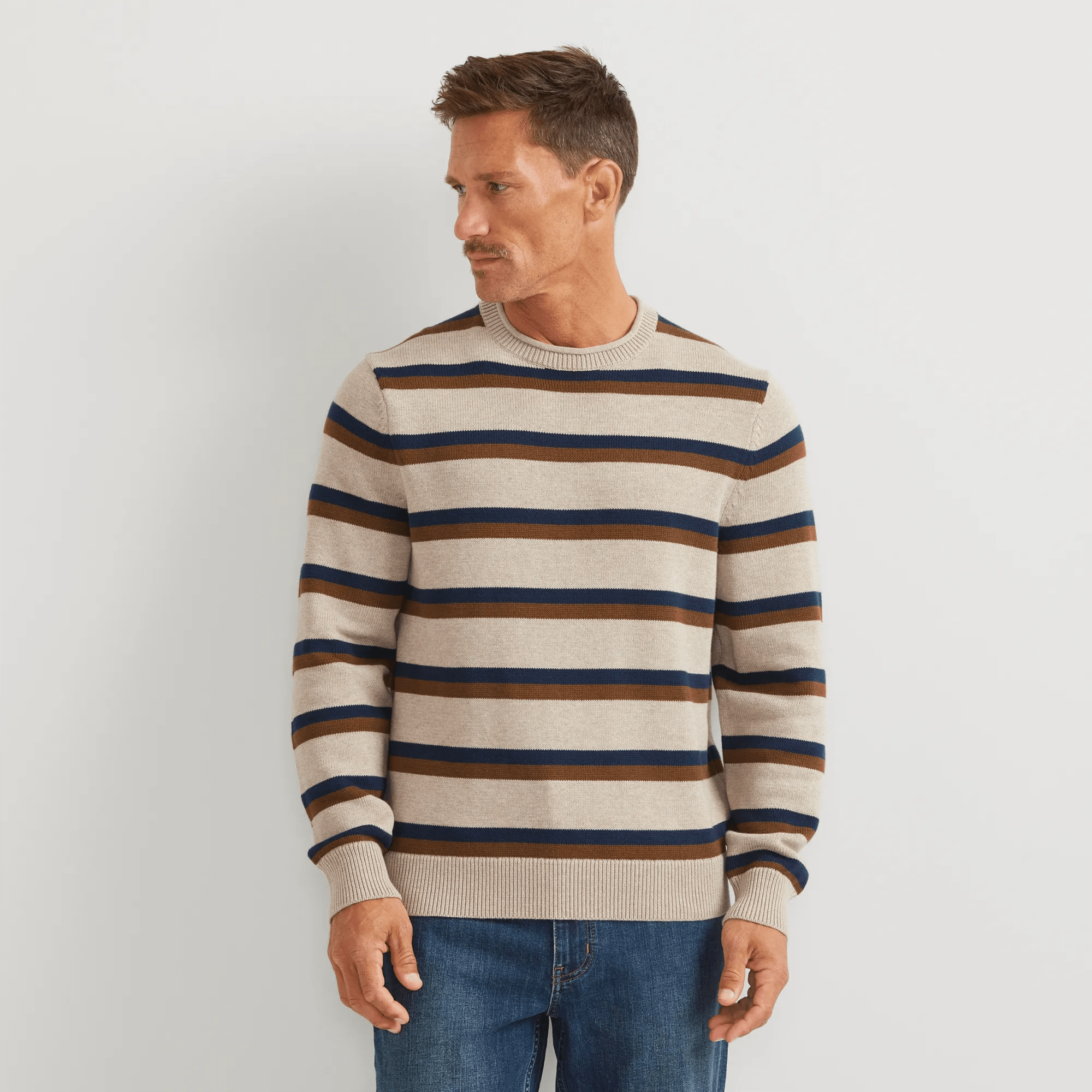 Men's Classic Roll Neck Sweater - Stripe